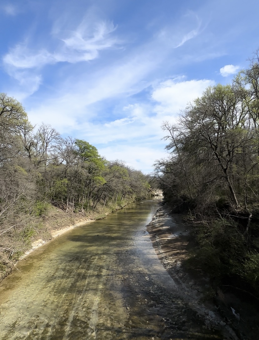 Spring Creek Nature Areaの川の写真
