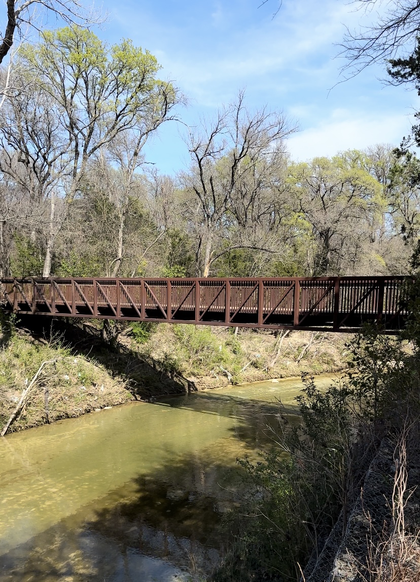 Spring Creek Nature Areaで見つけた橋の写真